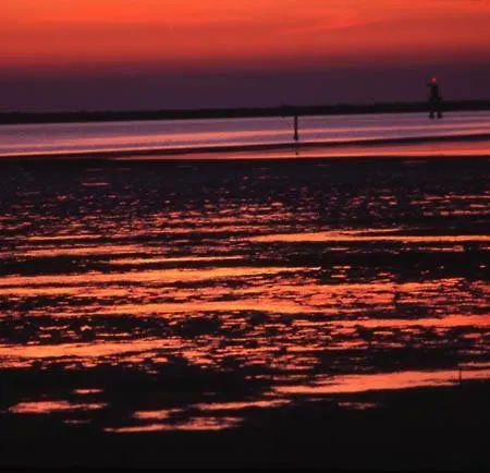 Viale Del Sole Grado